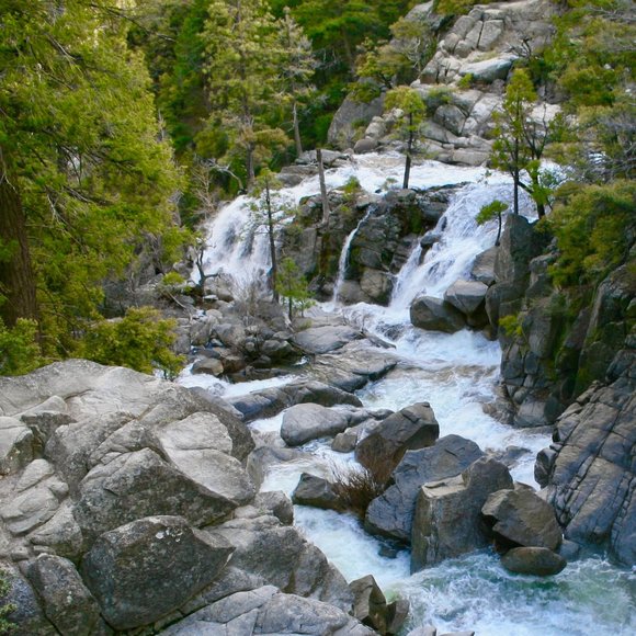 Meet your Posher, Gabriella - Picture 1 of 1